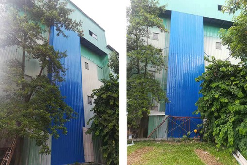 東莞市勤健實(shí)業(yè)有限公司直頂式升降機(jī)安裝驗(yàn)收合格